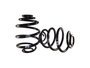 Par Mola De Suspensão Traseira Astra 94/97, Monza 91/96 E Vectra 94/96 Cofap Mc.eche54Cod. do Produto: 80491