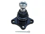 Pivô De Suspensão Inferior L-200 4x2 92/98 Dlz 17879 -  Lado Direito/esquerdo
