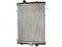 Radiador Gol, Parati e Saveiro GI, Passat 87/89 e Voyage 87/95 VALEO TA369001R