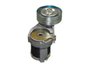 Tensor Da Correia Poly V Audi A3 00>, Golf E Polo 1.6 02> Schadek 30282